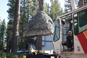 CRane with rock