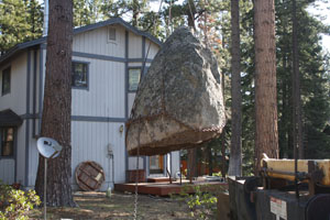 CRane with rock