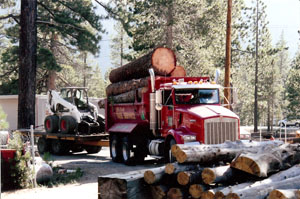 Dump truck with bobcat on trailer