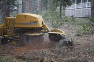 Stump grinder