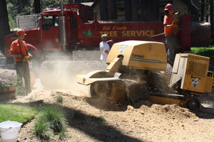 Stump grinder